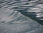 P63004780929