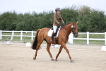 SBM_017395