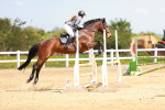 SBM_001654
