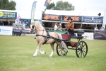 SBM_05666