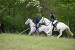 WJ6_1506
