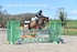 BPP_3536
