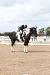 SBM_04858