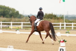 SBM_009834