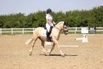SBM_009061