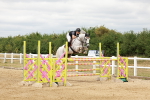 SBM_018428