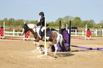 SBM_006184