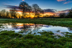 Moss Bank Park Sunrise