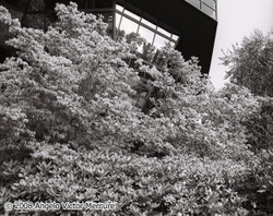 Architecture portfolio