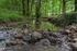 Blackpool Brook – 3