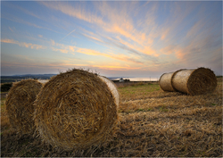 Saltburn By The Sea portfolio