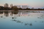 Flooded Fields Stoborough 