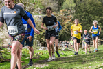 Dovedale Dash-1480