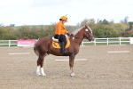 SBM_000756