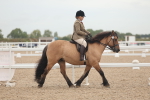 SBM_01856