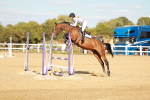 SBM_007951