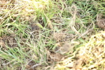 SBM_20294
