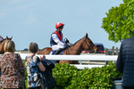040526-Race 5-Copper Knight-2646