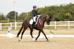 SBM_003604