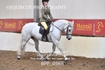BPP_0565