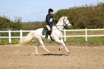 SBM_001085