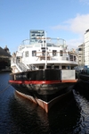 The Daffodil 1