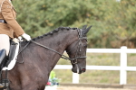 SBM_018258