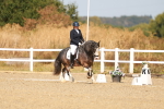 SBM_017773