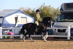 SBM_07897