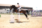 SBM_007964