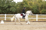 SBM_001165