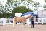 SBM_18699
