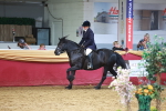 SBM_20146