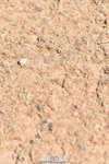 230811A-130304-05042