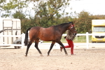 SBM_16268