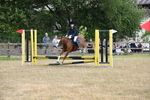 WJ6_1172