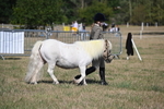 WJ6_4159