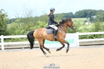 Class 22a&b  Pony Discovery & 90 Open portfolio