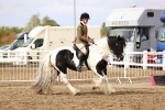 SBM_02816