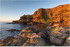 Sea Pinks at the Amphitheatre (IMG1233)