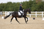 SBM_015019