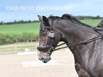 BPP_7561