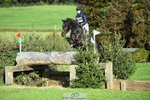 358-ROYALE.MESSENGER-Anna.Singer-XC portfolio