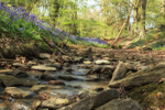 Bells by the Stream