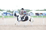 SBM_17170