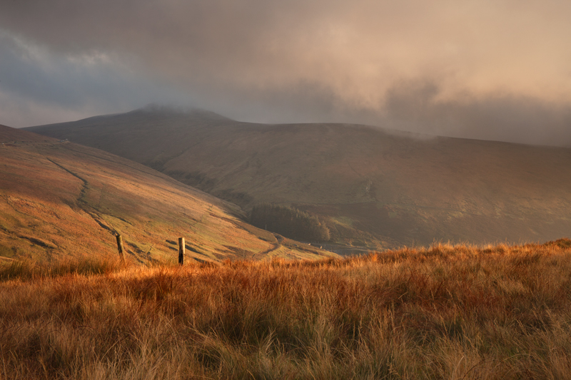 Gate posts at Dawn