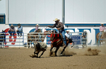 3HRodeo8-11-25_PRCASteer_07781_