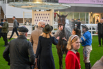 151125-Race 7-Divine Diva-4836