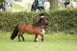 SBM_68533