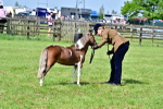 SBM_03618